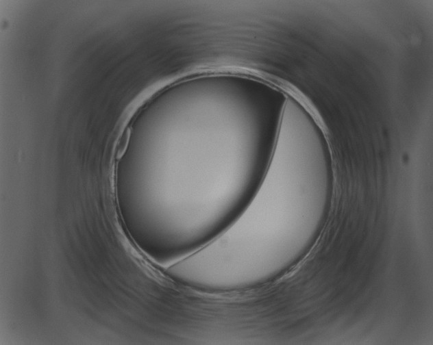 X0000086221388200703290952