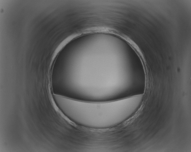 X0000086221389200703290952
