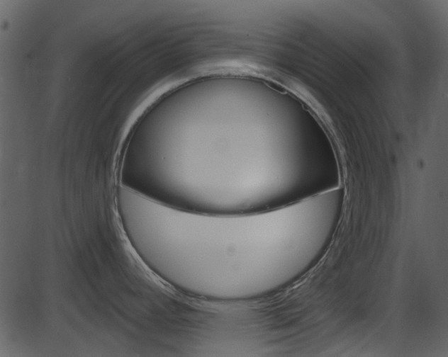 X0000086221392200703290952