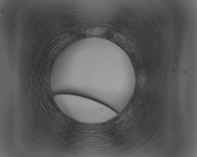 X0000086221393200703290951