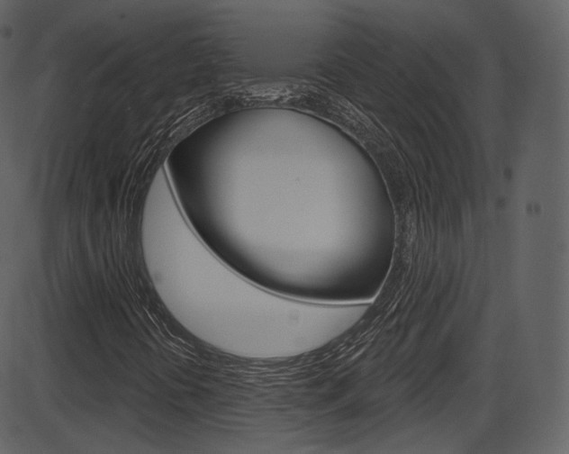 X0000086221394200703290952
