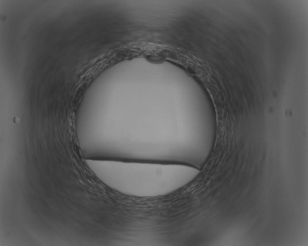 X0000086221397200703290952