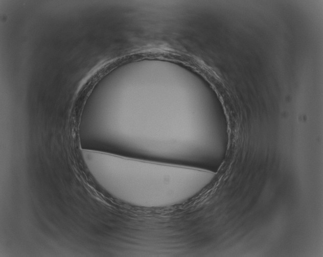 X0000086221400200703290952