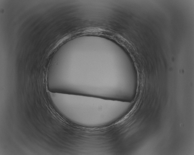 X0000086221401200703290952