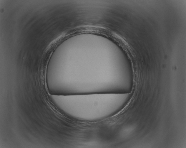 X0000086221403200703290952