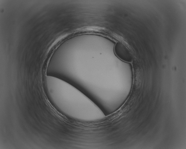 X0000086221404200703290952
