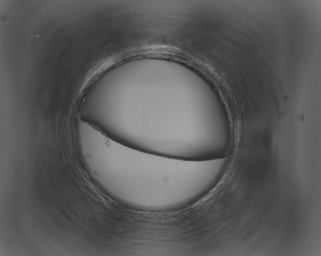 X0000086221405200703290952