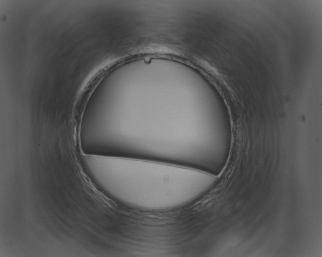 X0000086221408200703290952