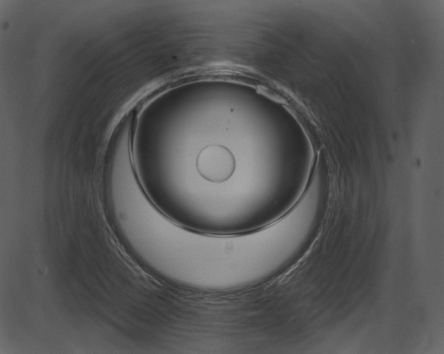 X0000086221410200703290952