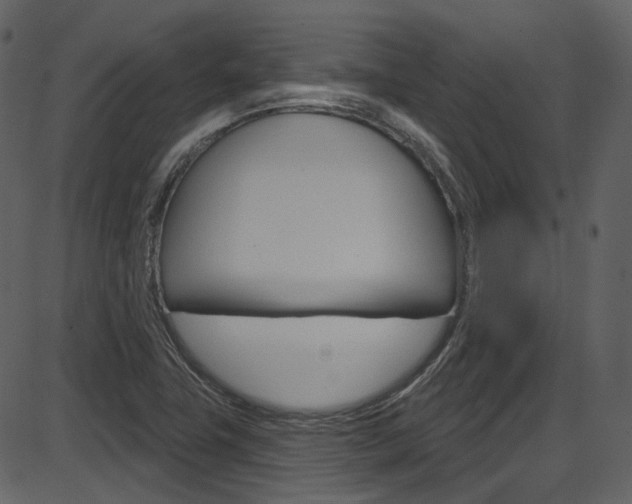 X0000086221411200703290952