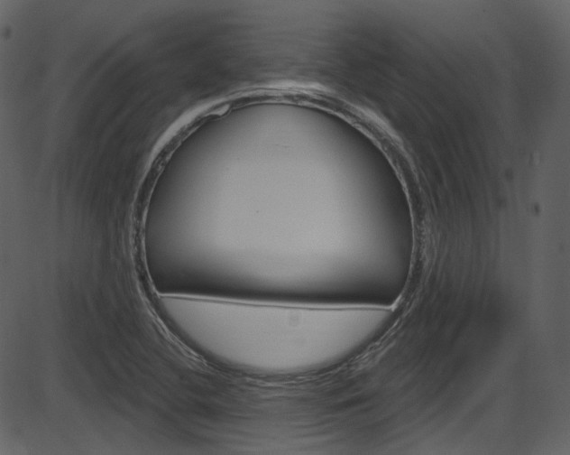 X0000086221412200703290952