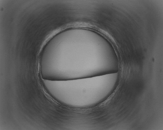 X0000086221413200703290952