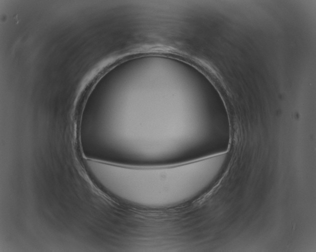 X0000086221414200703290952