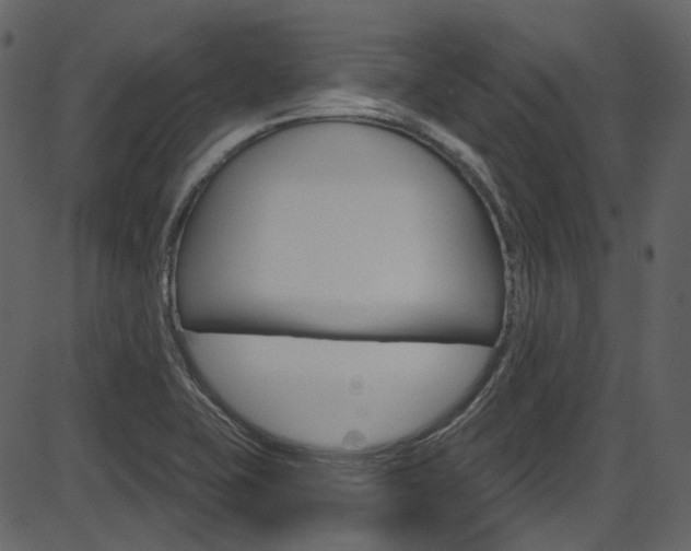 X0000086221415200703290952