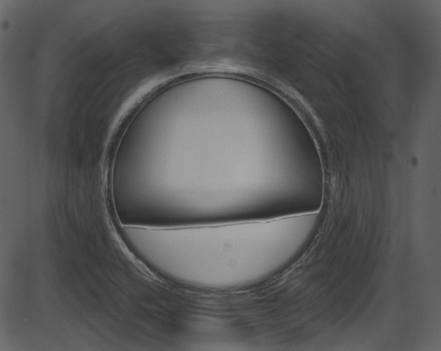 X0000086221416200703290952