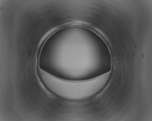 X0000086221418200703290952