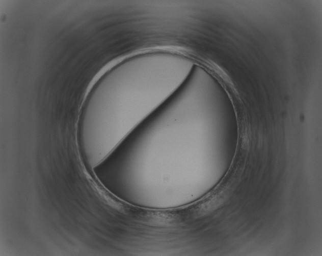 X0000086221420200703290952