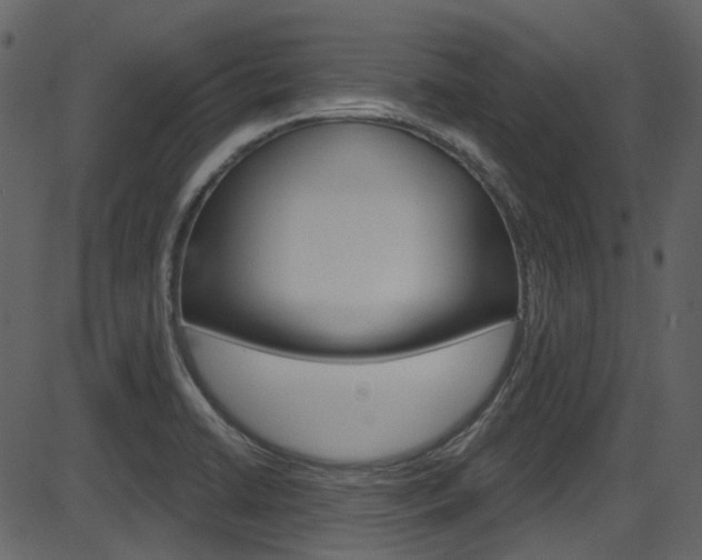 X0000086221422200703290952