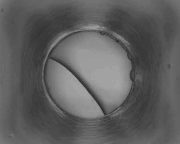 X0000086221423200703290952