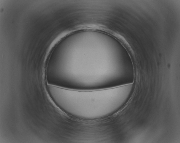 X0000086221424200703290952