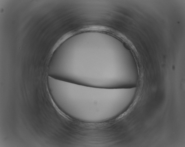 X0000086221425200703290952