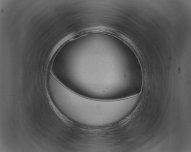 X0000086221426200703290952
