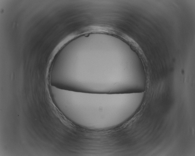 X0000086221427200703290952