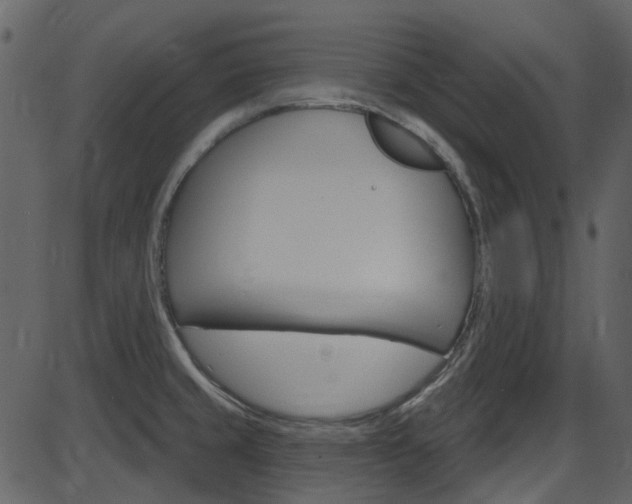 X0000086221429200703290952