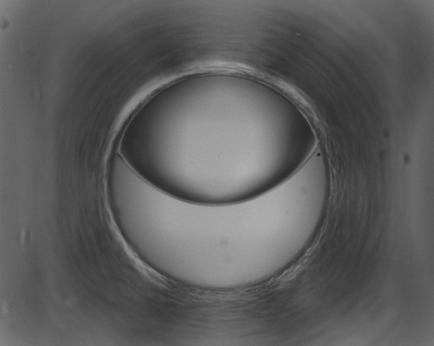 X0000086221430200703290952