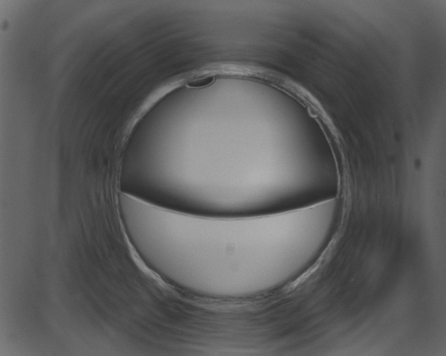 X0000086221433200703290952