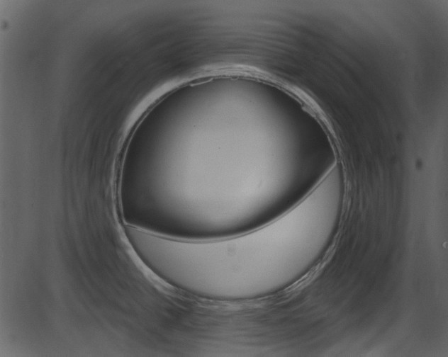 X0000086221438200703290952