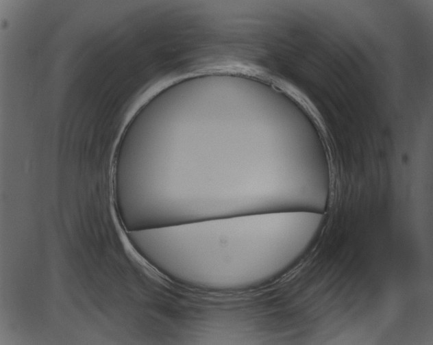X0000086221439200703290952