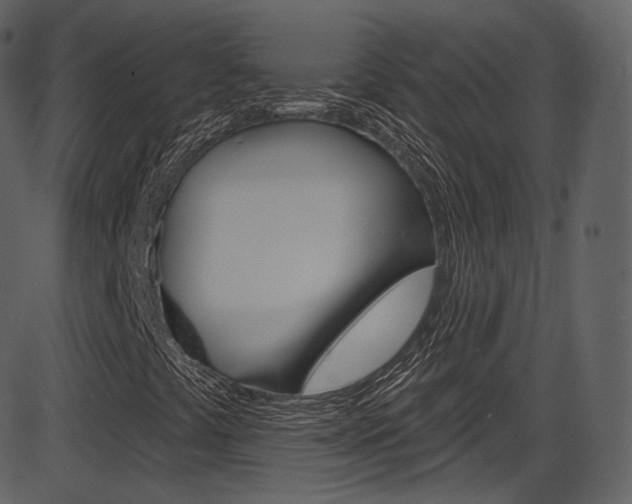 X0000086221441200703290951