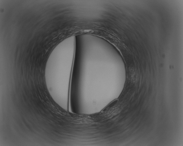 X0000086221442200703290951