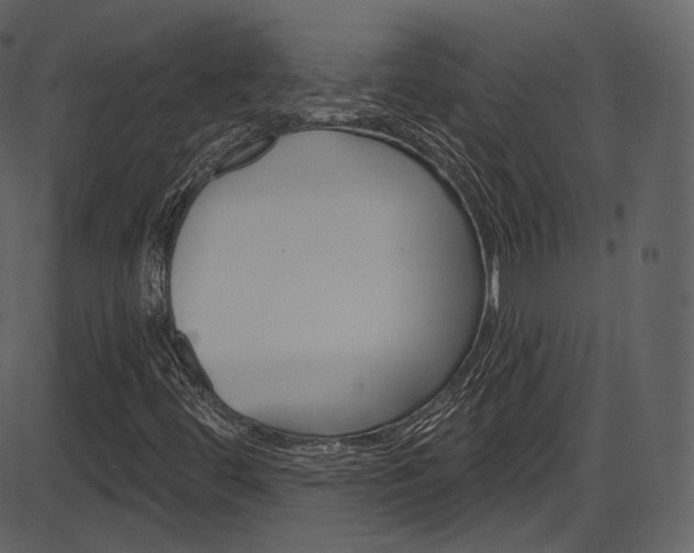 X0000086221444200703290951