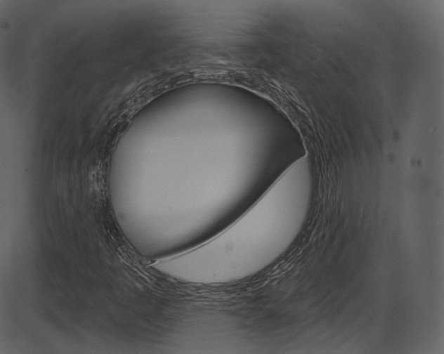 X0000086221445200703290951