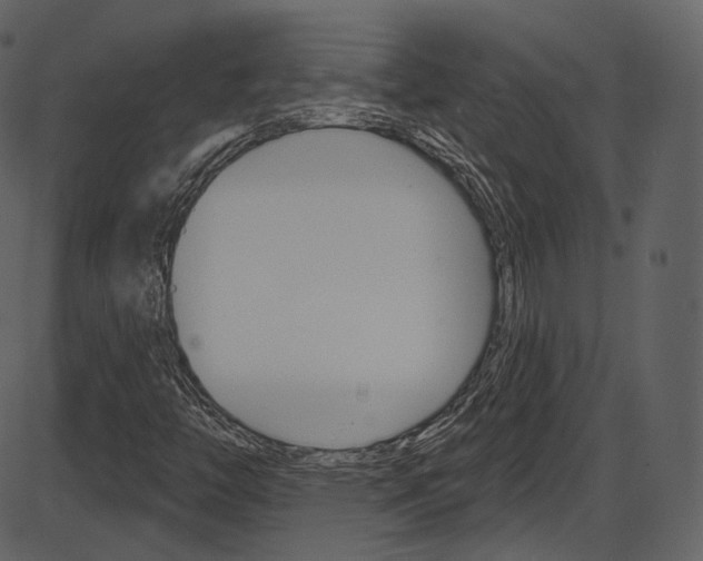 X0000086221446200703290951