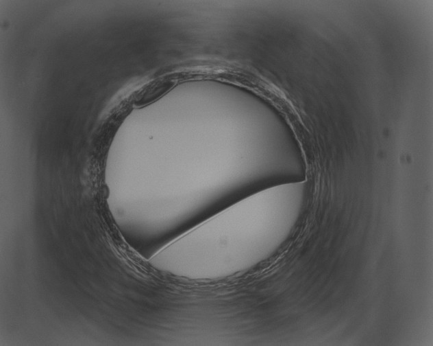 X0000086221448200703290951