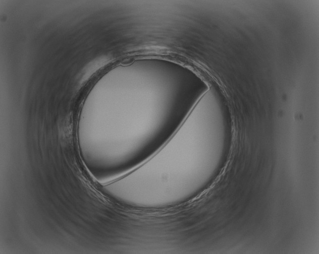 X0000086221450200703290951