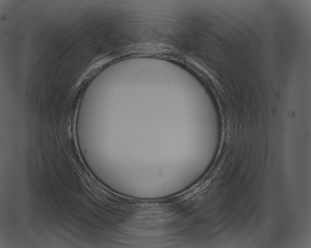 X0000086221451200703290951