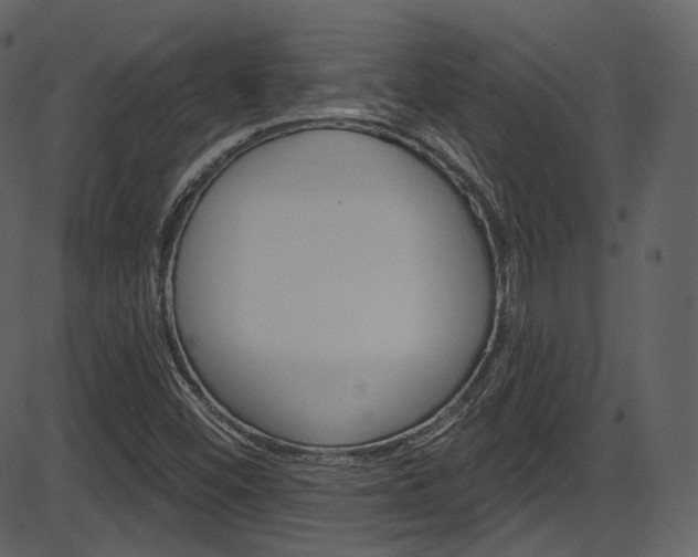 X0000086221452200703290951