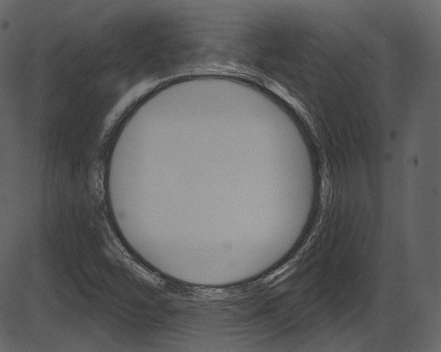 X0000086221454200703290951