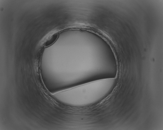 X0000086221455200703290951