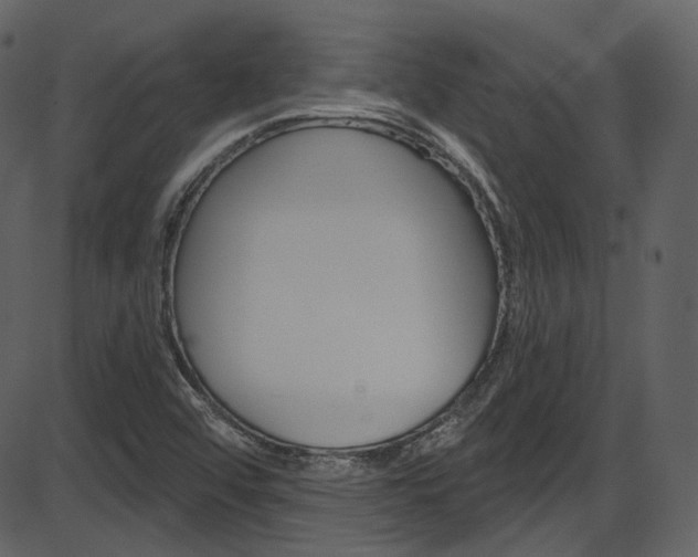 X0000086221456200703290951