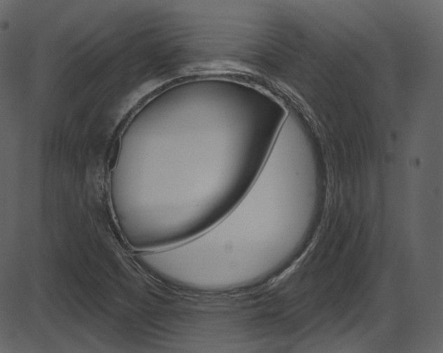 X0000086221457200703290951