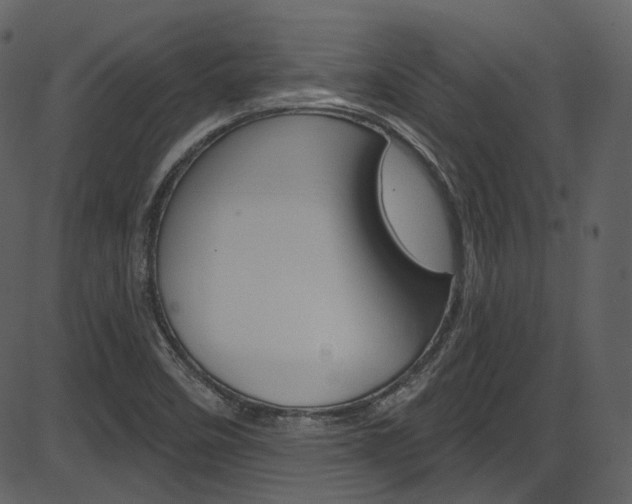 X0000086221458200703290951