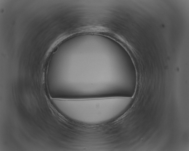 X0000086221459200703290951