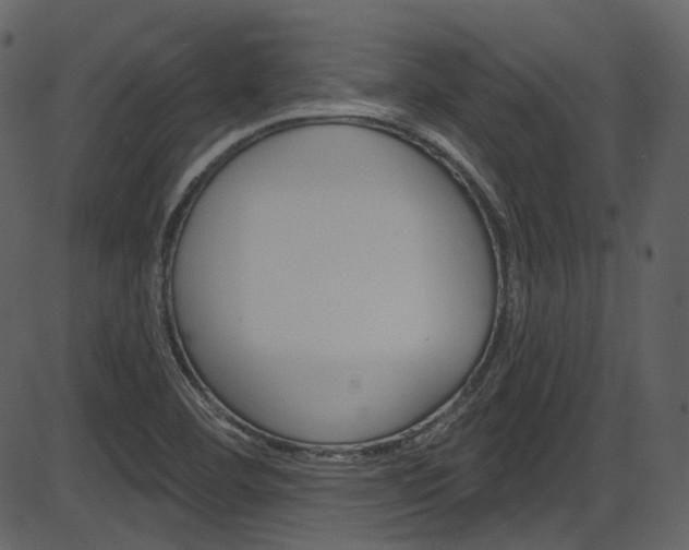 X0000086221460200703290951