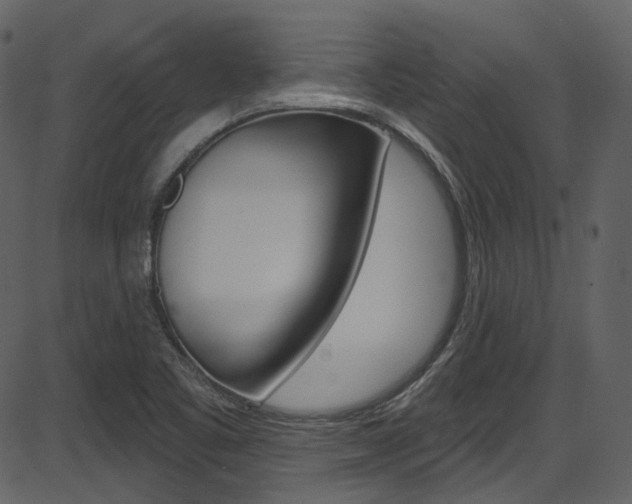 X0000086221461200703290951