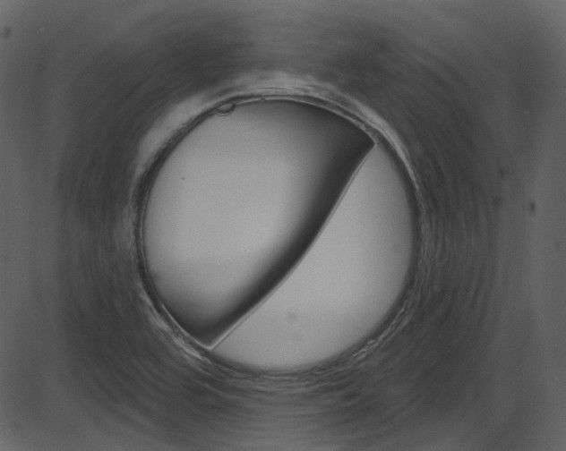 X0000086221464200703290951